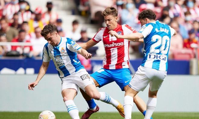 了高质量的 了高质量的